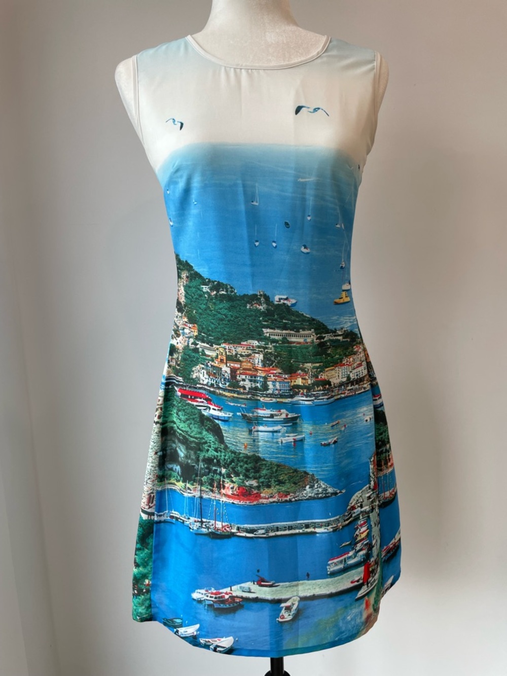 Scenic Blue Print Sleeveless Mini Dress